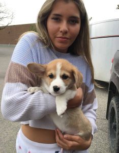 young-lady-with-corgi-puppy